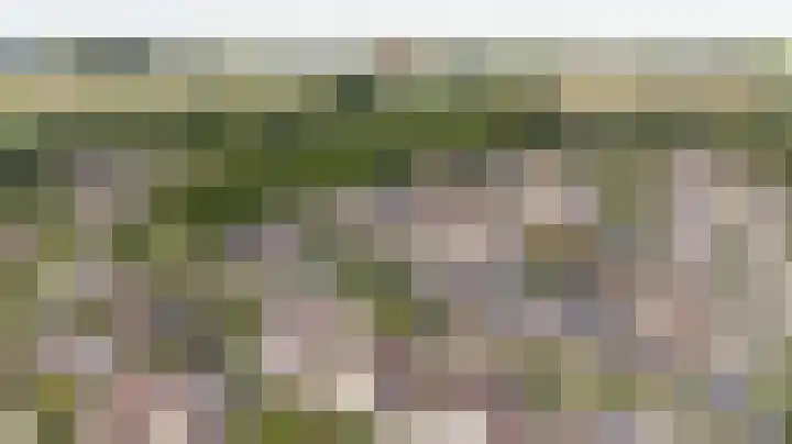 Wilhelminastraat 28 Duiven thumbnail 48