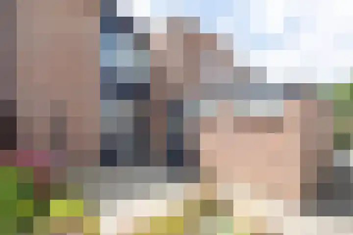 Wilhelminastraat 28 Duiven thumbnail 5