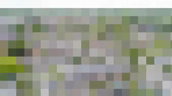 Wilhelminastraat 28 Duiven thumbnail 51