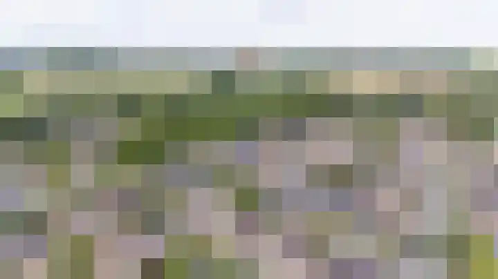 Wilhelminastraat 28 Duiven thumbnail 52