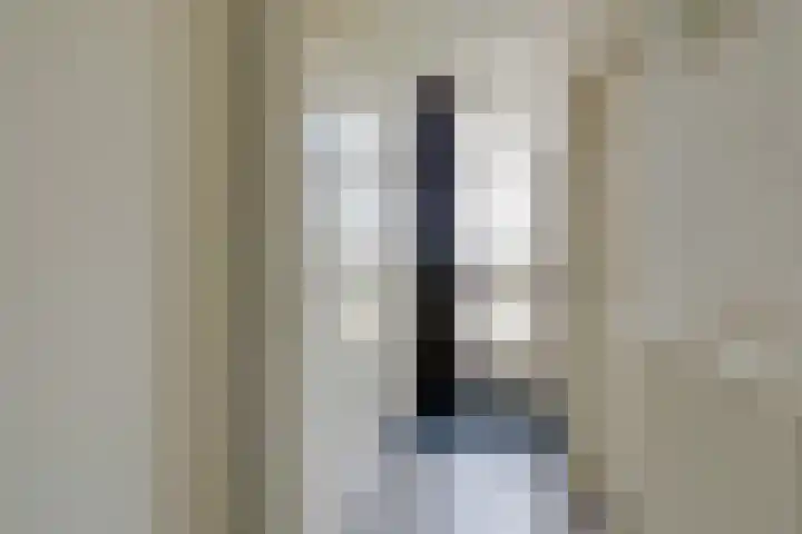 Wilhelminastraat 28 Duiven thumbnail 9