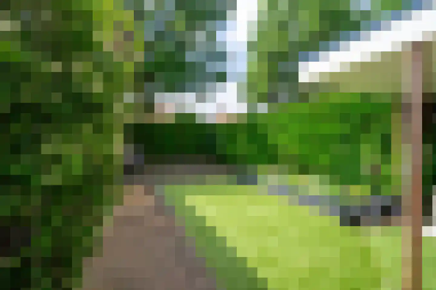 Wilhelminastraat 29 Bakel thumbnail 39