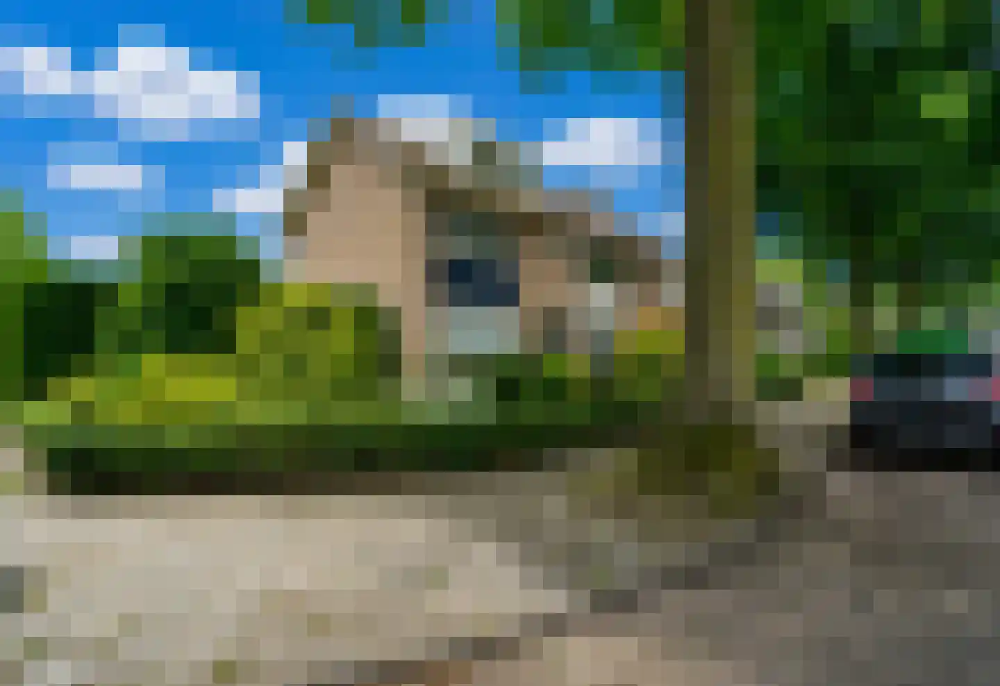 Wilhelminastraat 29 Bakel thumbnail 5