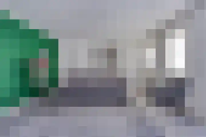 Wilhelminastraat 29 Boekel thumbnail 17