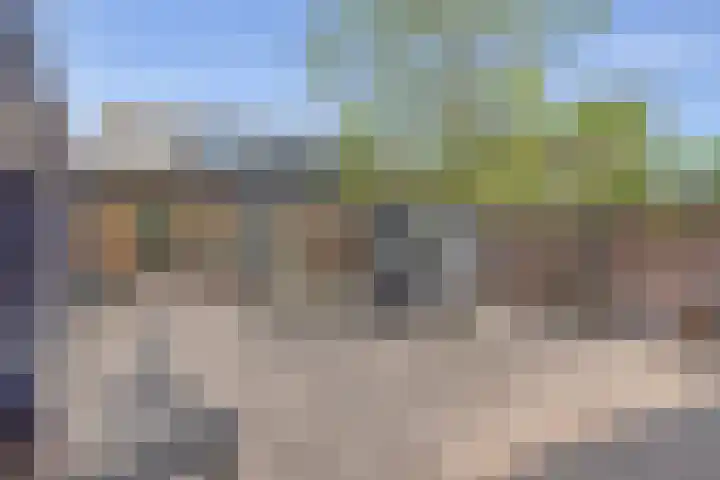 Wilhelminastraat 29 Boekel thumbnail 24