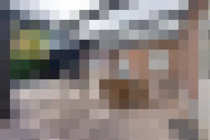 Wilhelminastraat 29 Boekel thumbnail 25