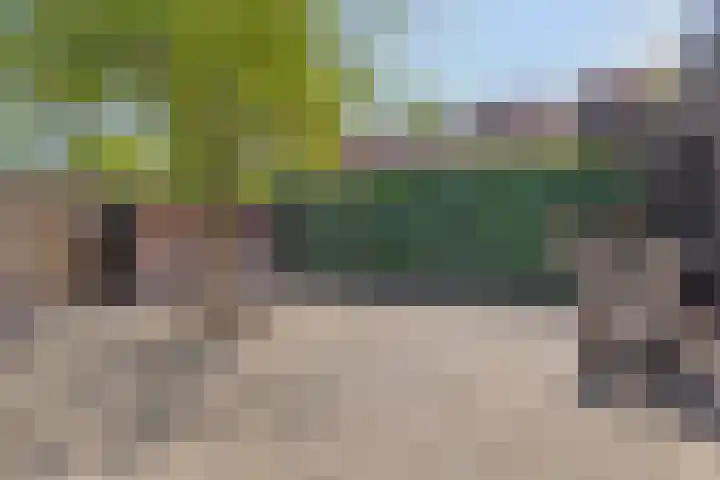 Wilhelminastraat 29 Boekel thumbnail 26
