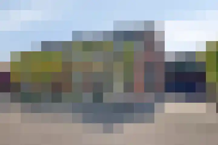 Wilhelminastraat 29 Boekel thumbnail 28
