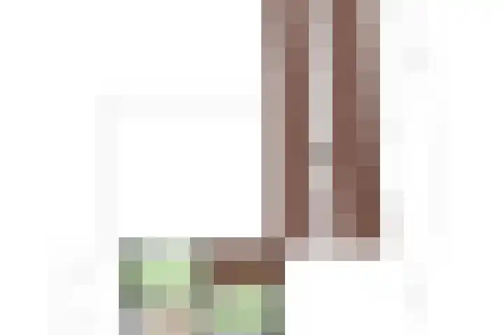 Wilhelminastraat 29 Boekel thumbnail 31