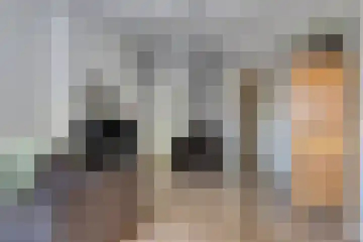 Wilhelminastraat 29 Boekel thumbnail 4