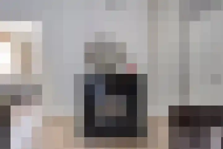 Wilhelminastraat 29 Boekel thumbnail 6