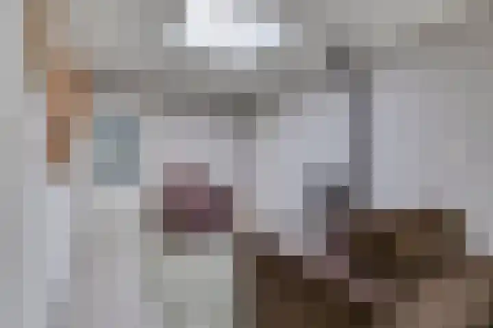 Wilhelminastraat 29 Boekel thumbnail 8
