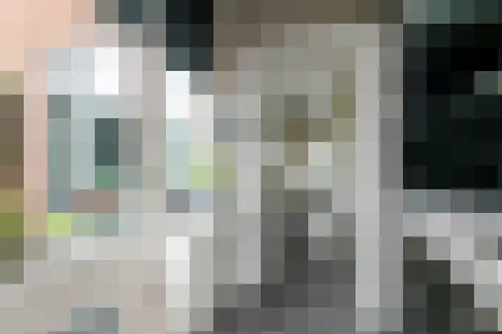 Wilhelminastraat 29 Druten thumbnail 10