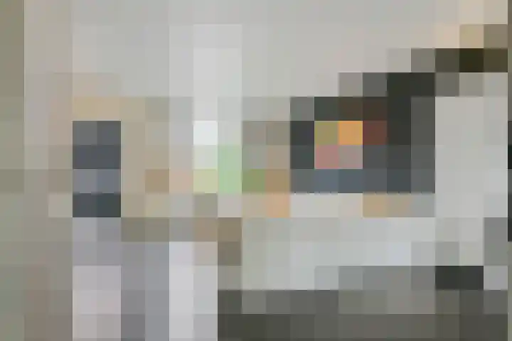 Wilhelminastraat 29 Druten thumbnail 11
