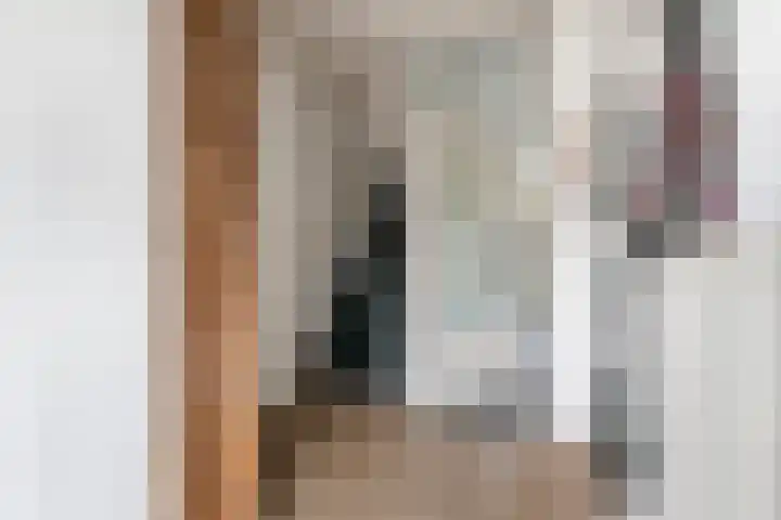Wilhelminastraat 29 Druten thumbnail 14