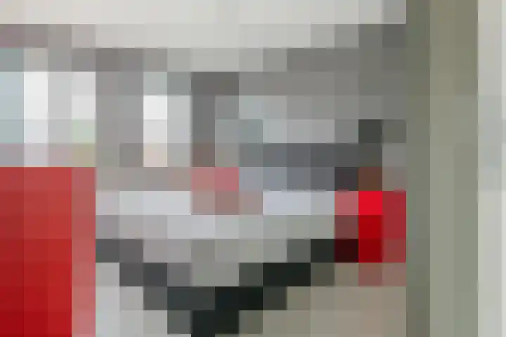 Wilhelminastraat 29 Druten thumbnail 15