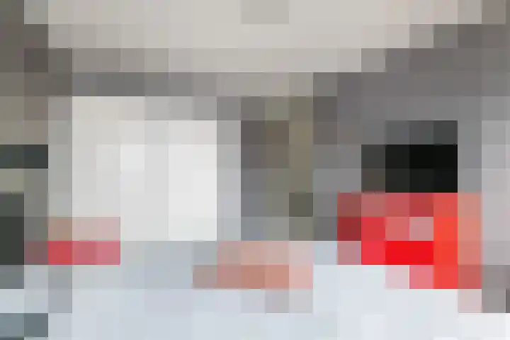 Wilhelminastraat 29 Druten thumbnail 17