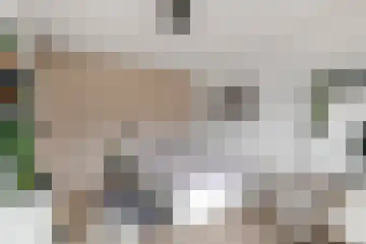 Wilhelminastraat 29 Druten thumbnail 21