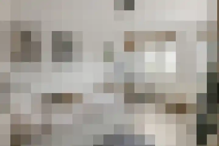 Wilhelminastraat 29 Druten thumbnail 22