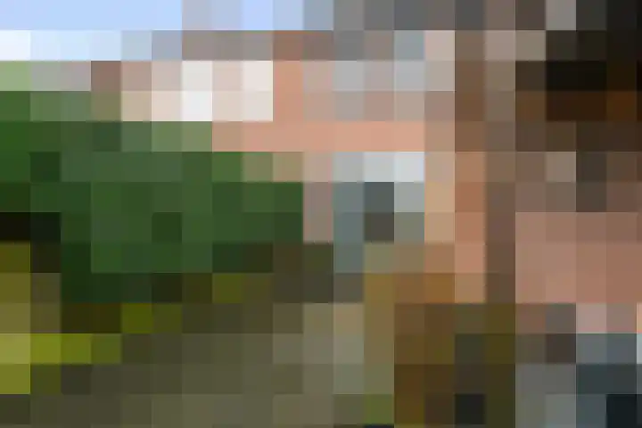 Wilhelminastraat 29 Druten thumbnail 31