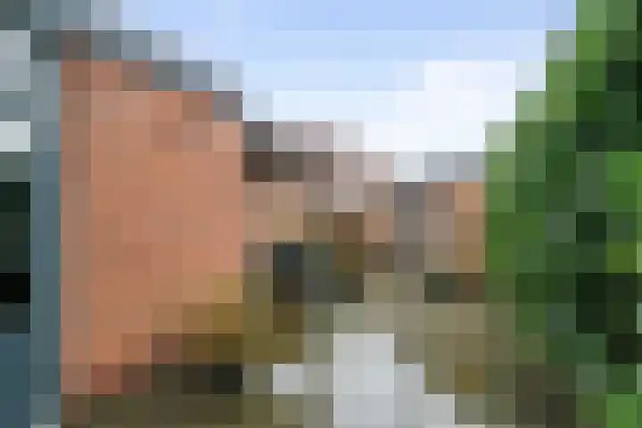 Wilhelminastraat 29 Druten thumbnail 32