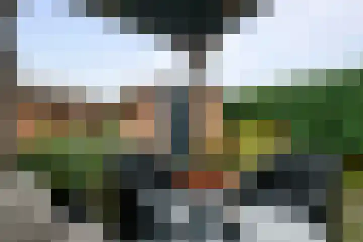 Wilhelminastraat 29 Druten thumbnail 33