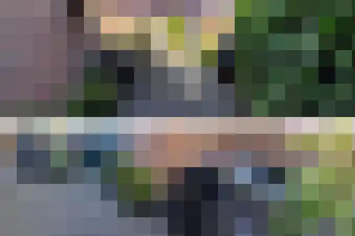 Wilhelminastraat 29 Druten thumbnail 34