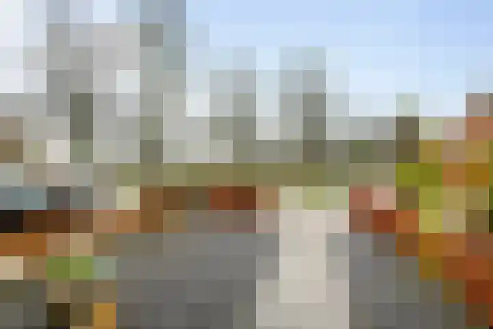 Wilhelminastraat 29 Druten thumbnail 36