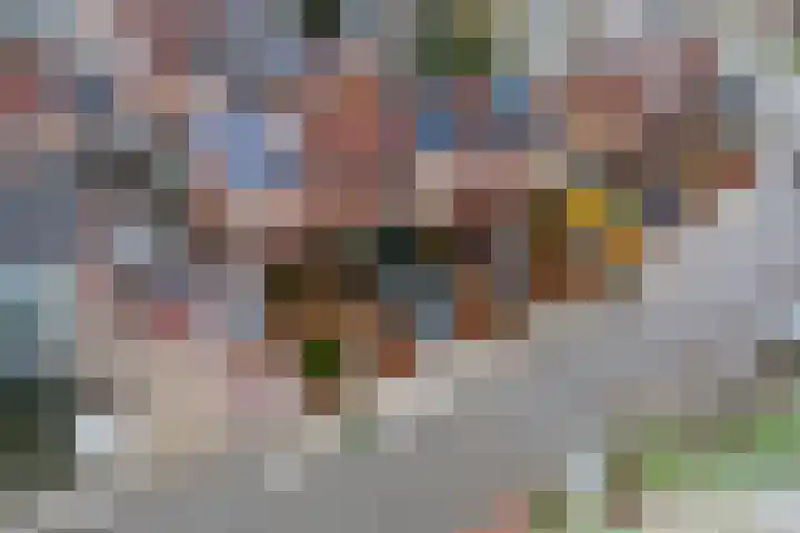 Wilhelminastraat 29 Druten thumbnail 37