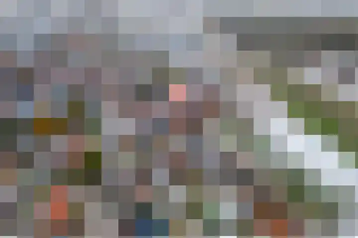Wilhelminastraat 29 Druten thumbnail 38