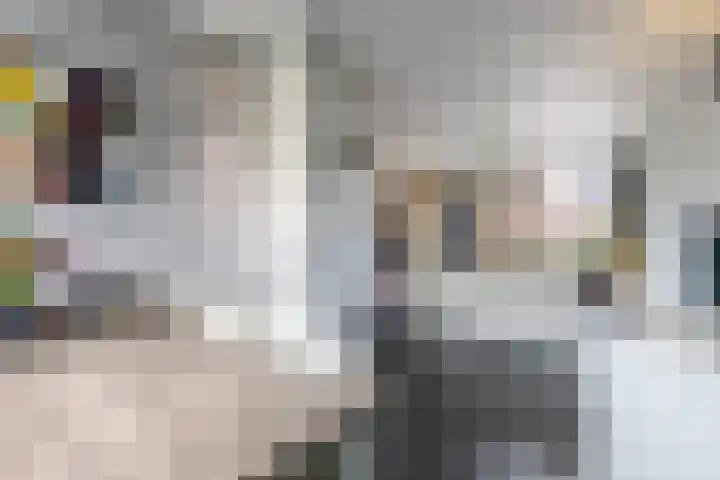 Wilhelminastraat 29 Druten thumbnail 4