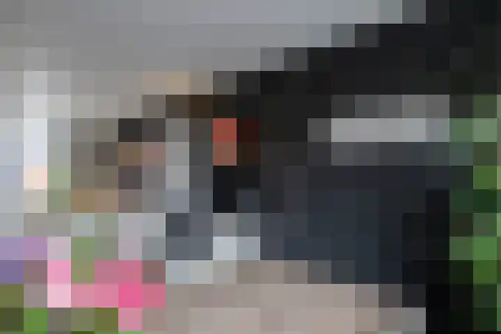 Wilhelminastraat 29 Druten thumbnail 5
