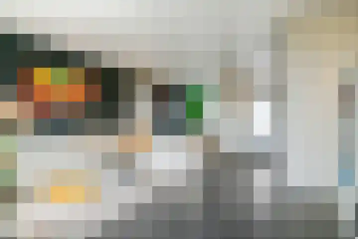 Wilhelminastraat 29 Druten thumbnail 6
