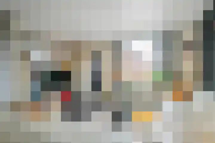 Wilhelminastraat 29 Druten thumbnail 7