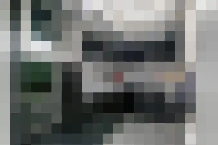 Wilhelminastraat 29 Druten thumbnail 8