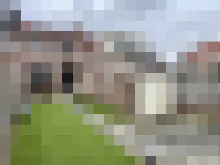 Wilhelminastraat 29 Montfoort thumbnail 33