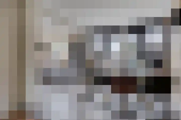 Wilhelminastraat 29 Tuil thumbnail 10