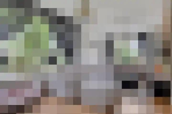 Wilhelminastraat 29 Tuil thumbnail 12