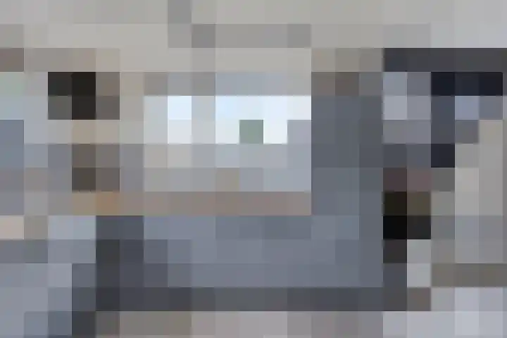 Wilhelminastraat 29 Tuil thumbnail 14