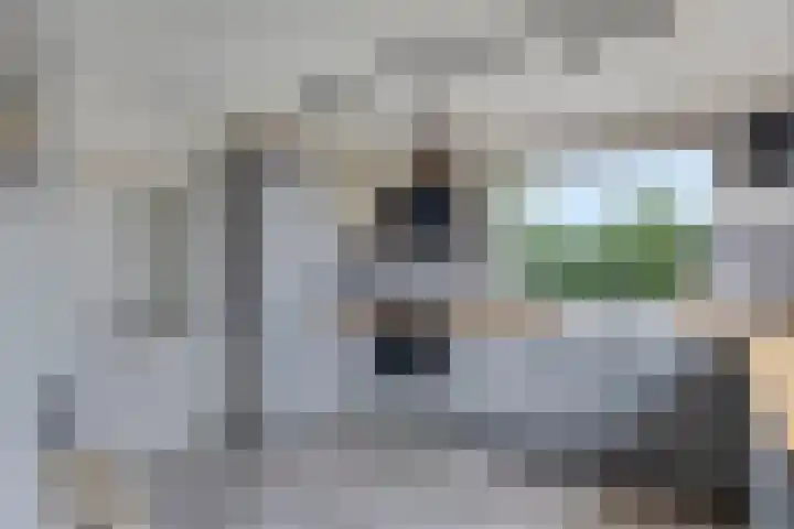 Wilhelminastraat 29 Tuil thumbnail 15