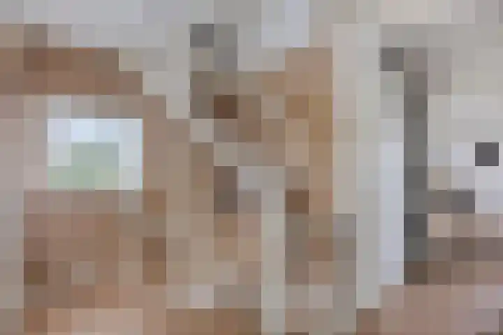 Wilhelminastraat 29 Tuil thumbnail 18