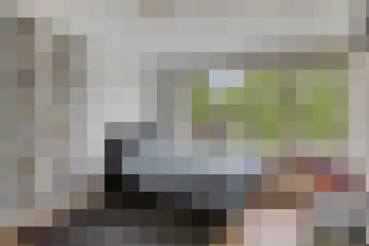 Wilhelminastraat 29 Tuil thumbnail 25