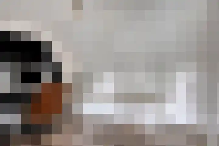 Wilhelminastraat 29 Tuil thumbnail 31