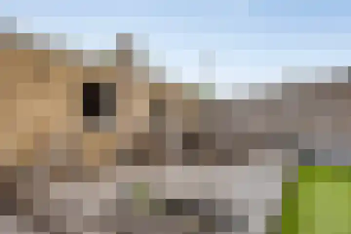 Wilhelminastraat 29 Tuil thumbnail 37