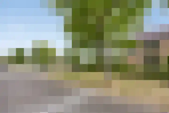 Wilhelminastraat 29 Tuil thumbnail 4