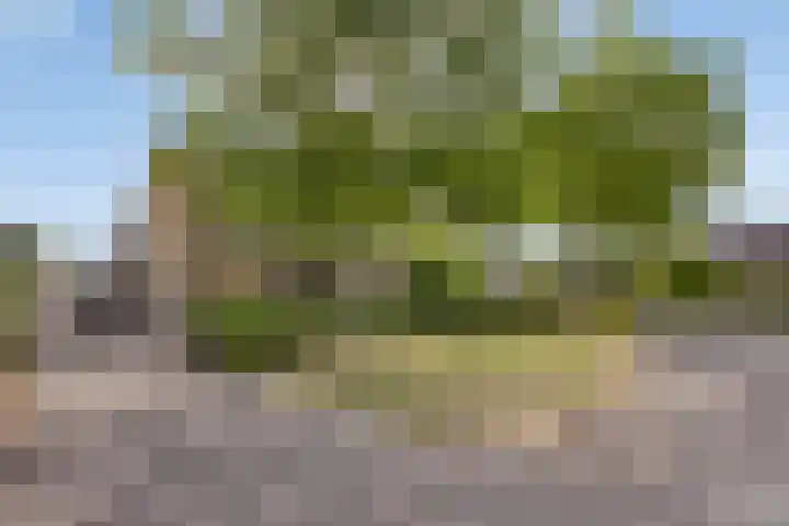 Wilhelminastraat 29 Tuil thumbnail 6