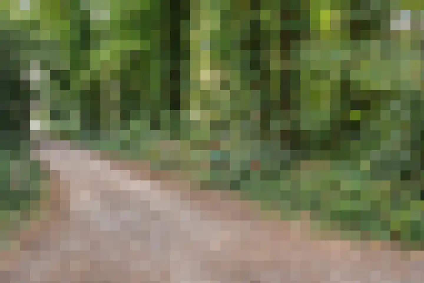 Wilhelminastraat 29 Westerbork thumbnail 33