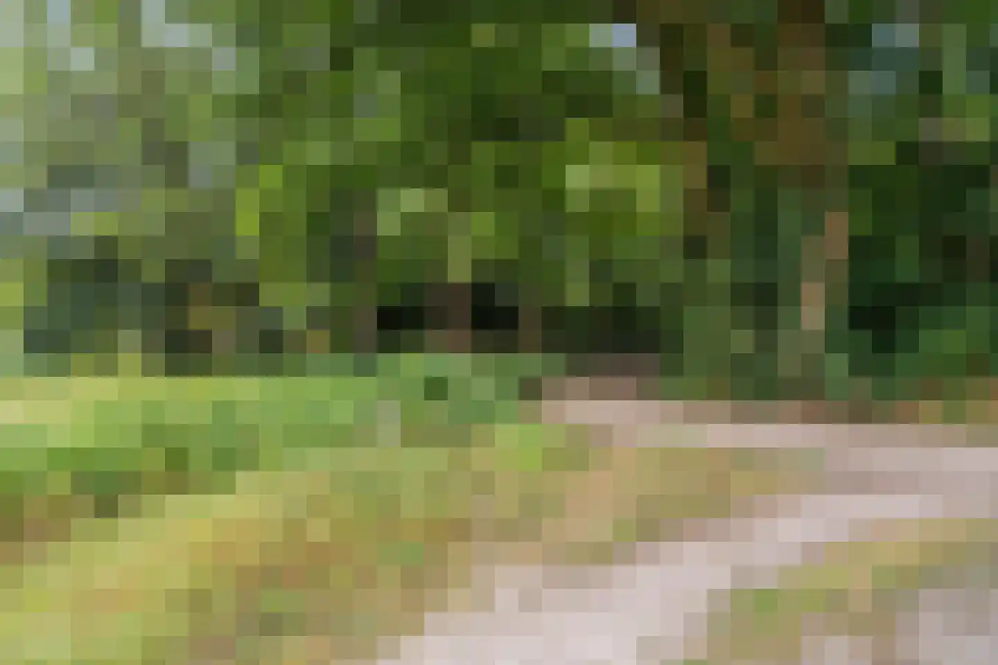 Wilhelminastraat 29 Westerbork thumbnail 34