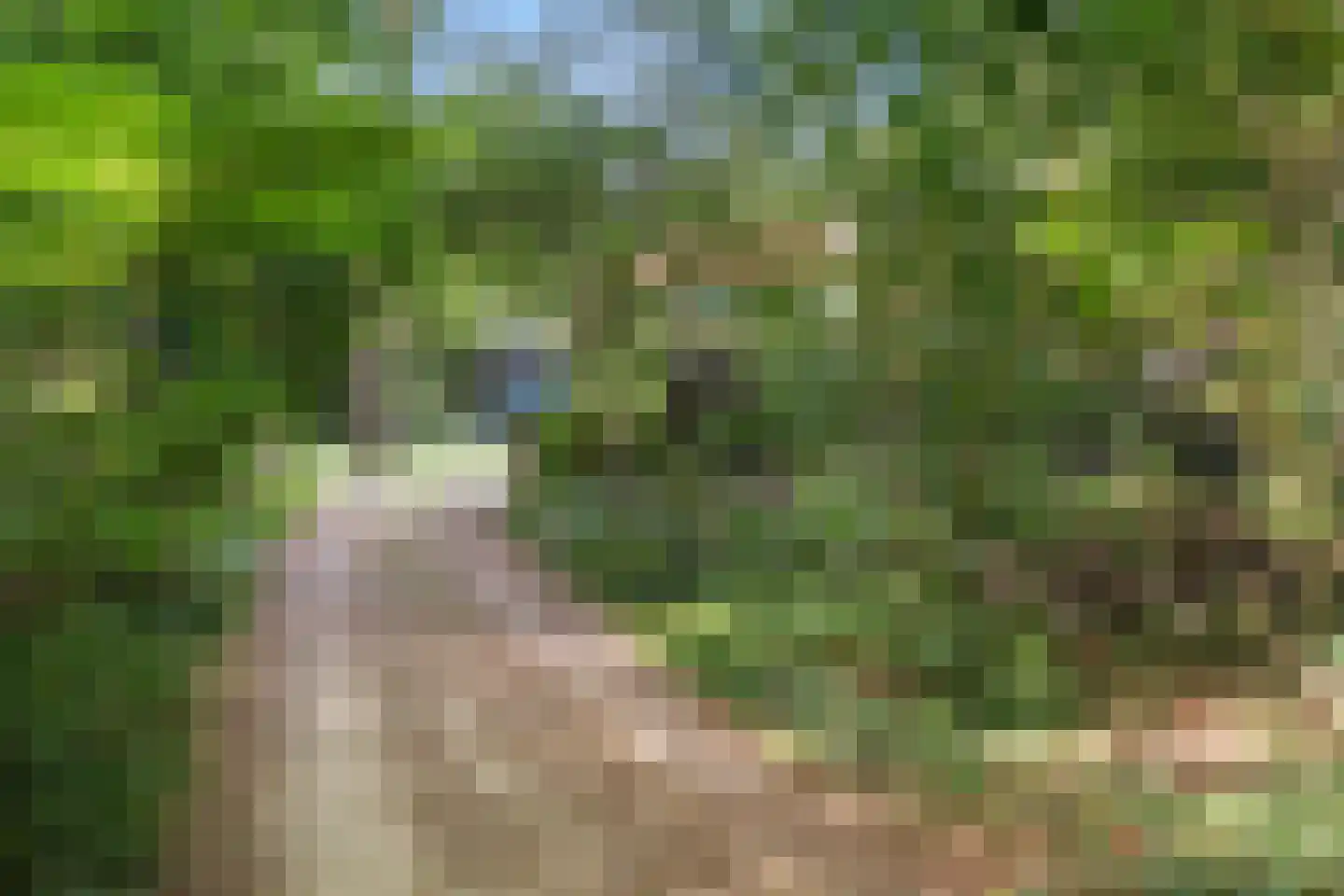 Wilhelminastraat 29 Westerbork thumbnail 35