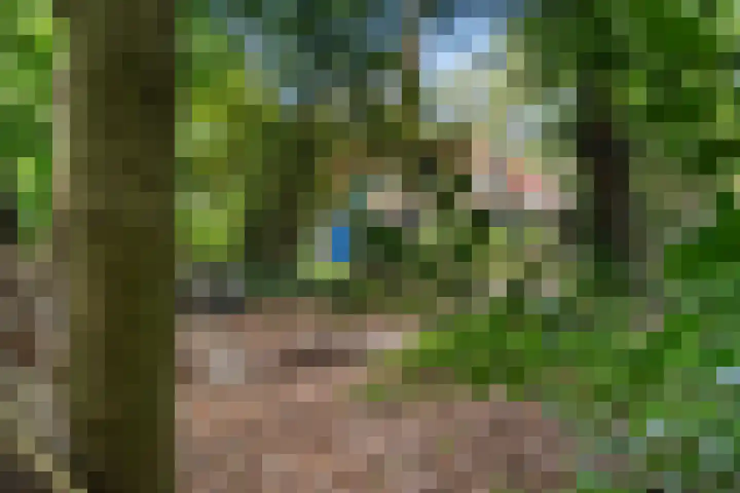 Wilhelminastraat 29 Westerbork thumbnail 37